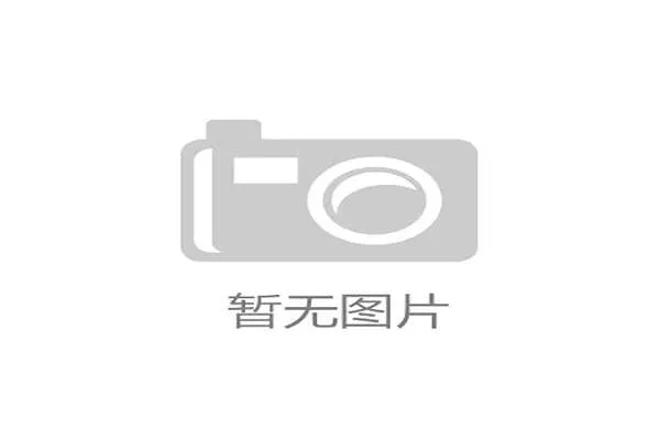 2017游泳比赛